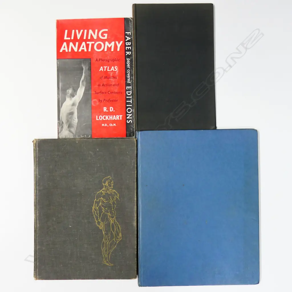 FOUR PUBLICATIONS: ANATOMY Image 1++